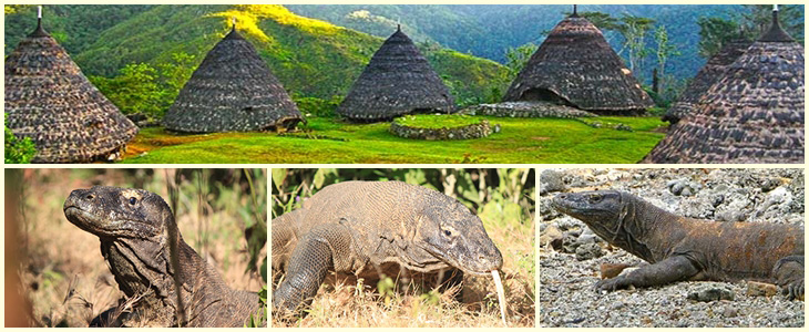 Komodo Waerebo Reise